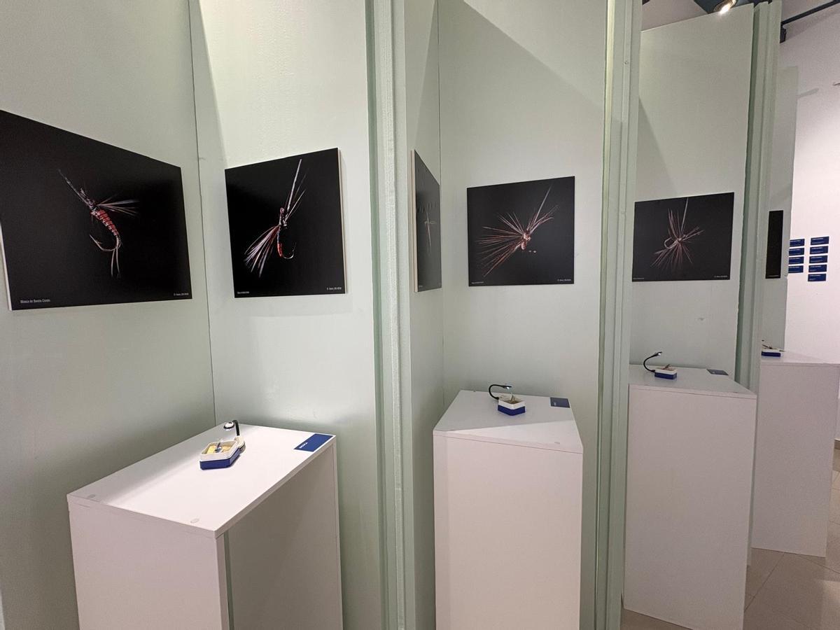 Parte de la exposición dedicada a la colección de moscas de Benito Corolo.
