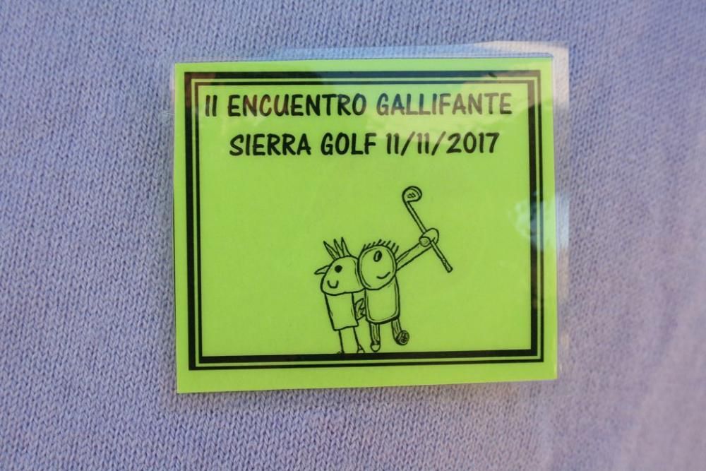 Golf: Gallifantes