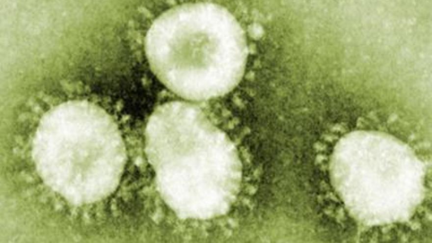 Salut descarta el cas de coronavirus