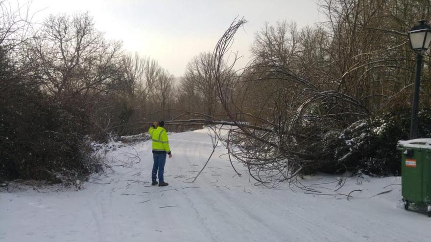 Hielo y nieve en las carreteras de Sanabria y Aliste