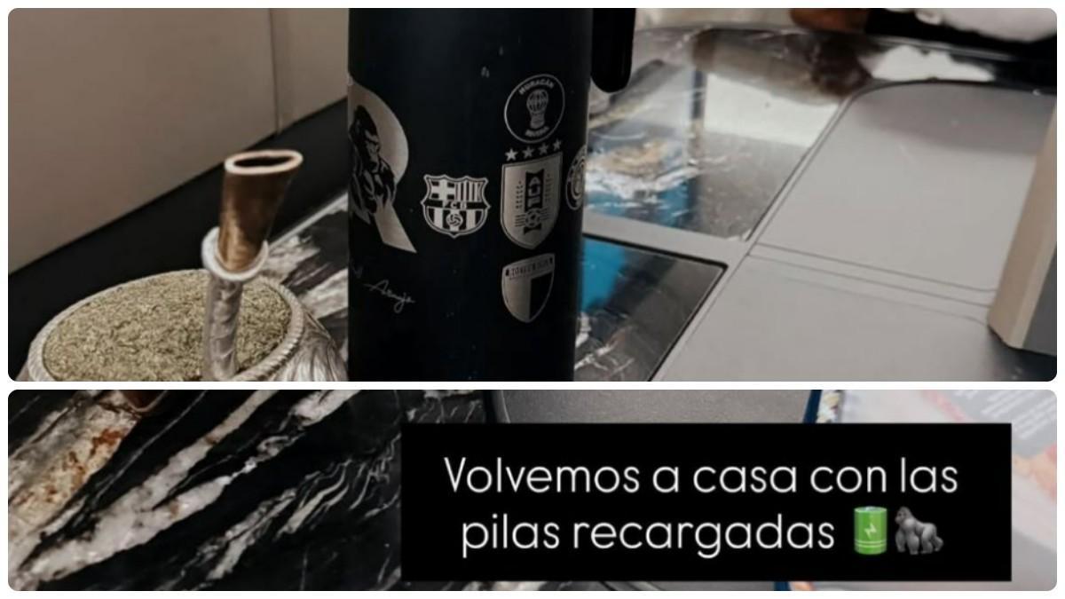 La publicación de Araujo