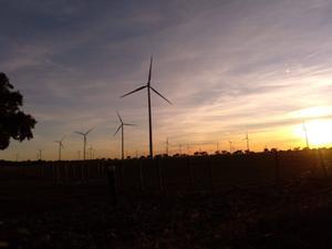 Un parque de energía eólica.