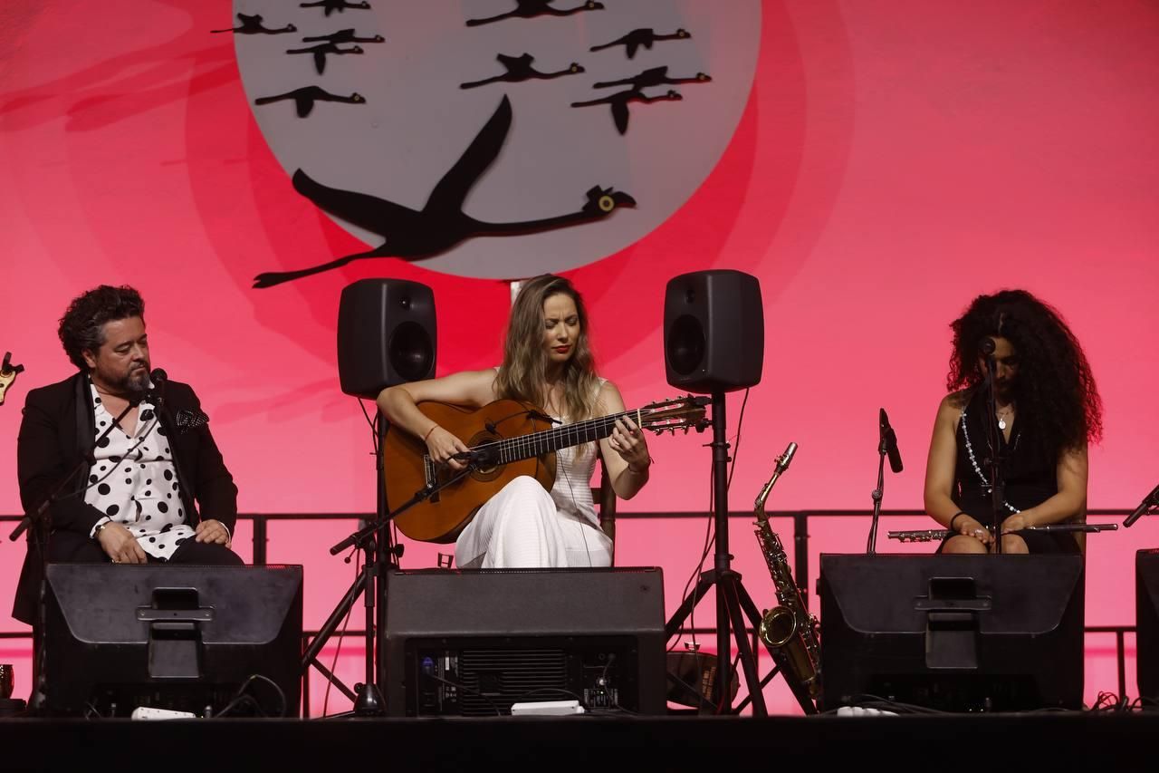 La Noche Blanca del Flamenco en Córdoba, en imágenes