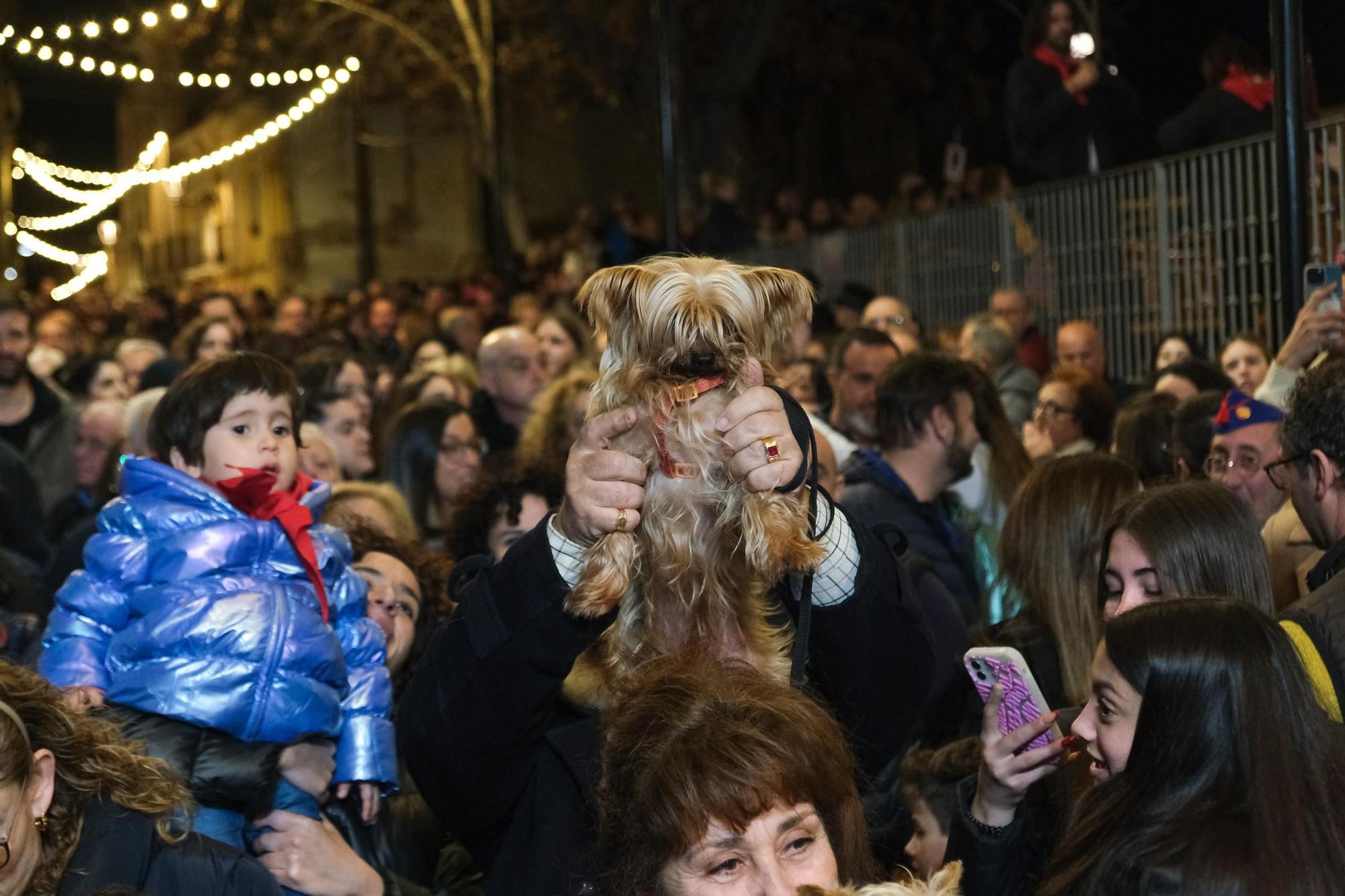 Así ha sido la celebración de la festividad de San Antón en Elda