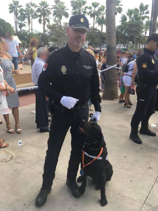 Doky, el perro detector de explosivos de la Policía Nacional