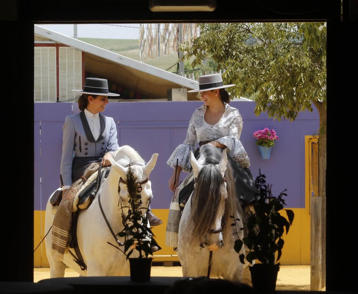 Fotogalería / Jueves de Feria de Córdoba en imágenes