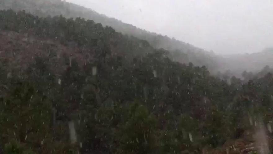 Nieva en Benizar (Moratalla)