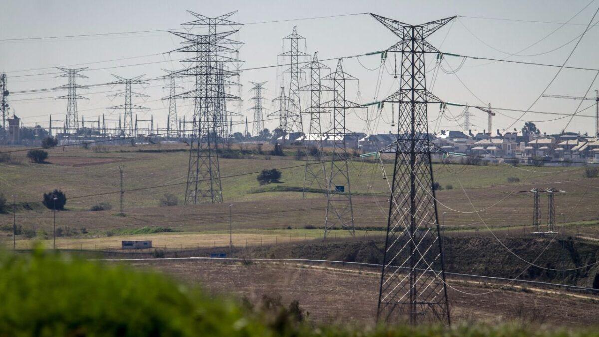 La Fiscalía se querella contra las torres eléctricas que matan aves