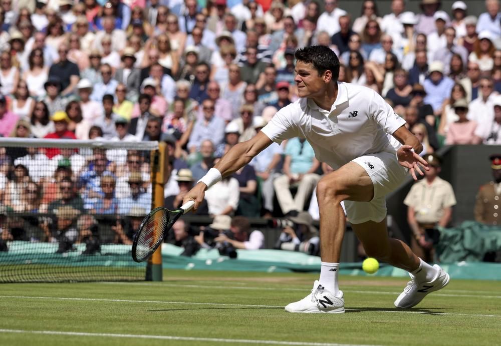 Andy Murray ha conquistado Wimbledon por segunda ocasión ante Raonic.