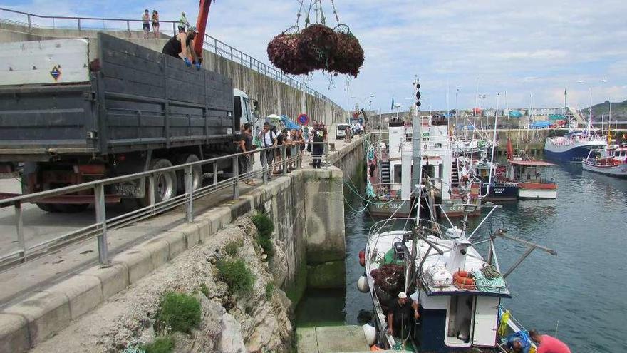 La tripulación de la embarcación riosellana &quot;Velamar&quot; descargando ayer en el puerto de Llanes.