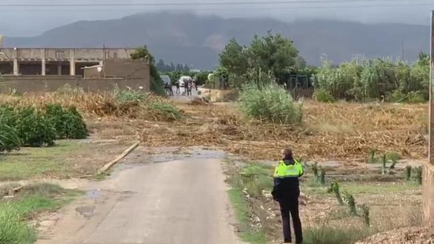 El río Albaida arrastra millones de cañas a su paso por Manuel