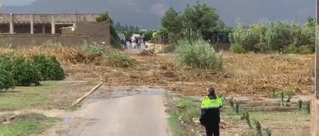 El río Albaida arrastra millones de cañas a su paso por Manuel