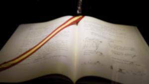 Que la Constitució perduri