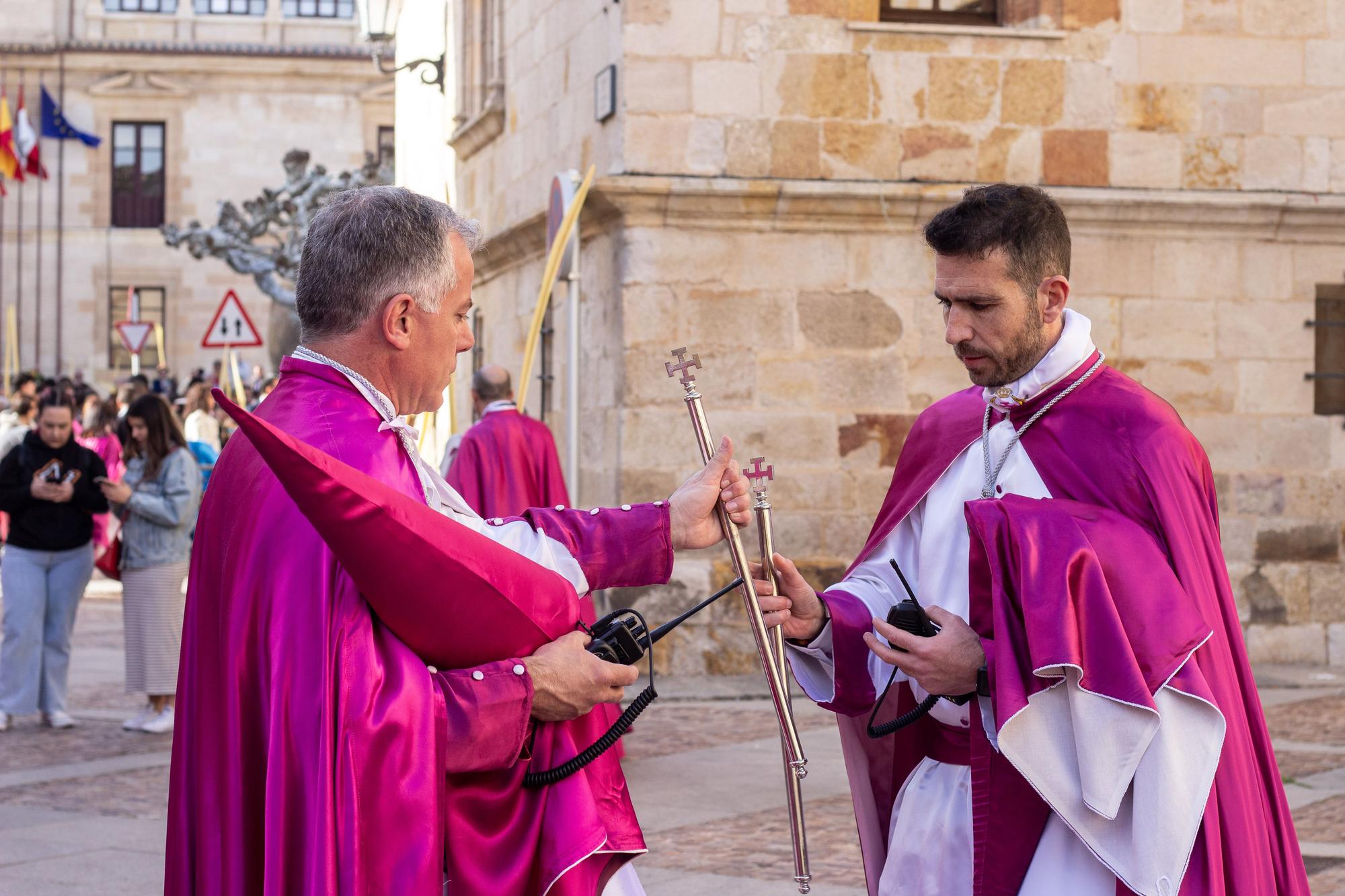 ZAMORA.DOMINGO DE RAMOS