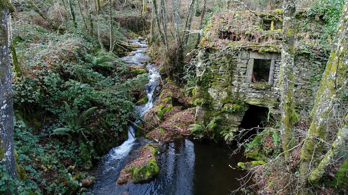 Fiordos gallegos Ribeira Sacra Río Sil