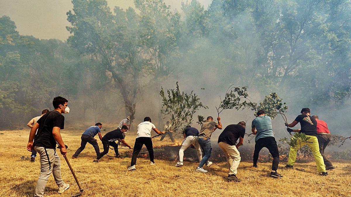 Veïns de Villarejo, a Àvila, intentant apagar l’incendi. | EFE