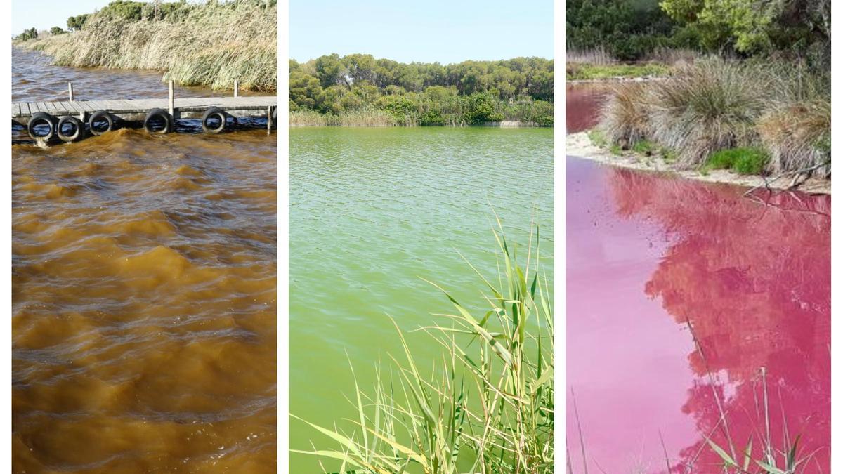 Algunas zonas de la laguna cambian de color según las condiciones del agua