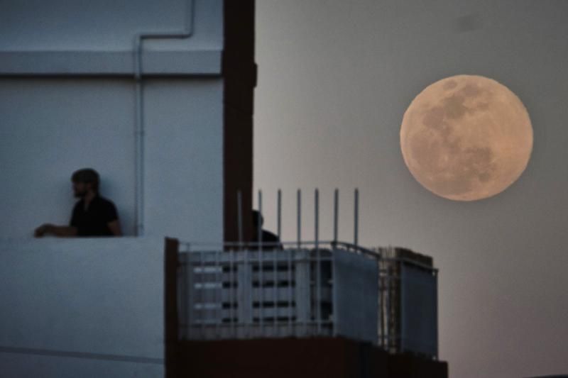 Superluna en Santa Cruz de Tenerife mascarilla coronavirus  | 07/04/2020 | Fotógrafo: Andrés Gutiérrez Taberne