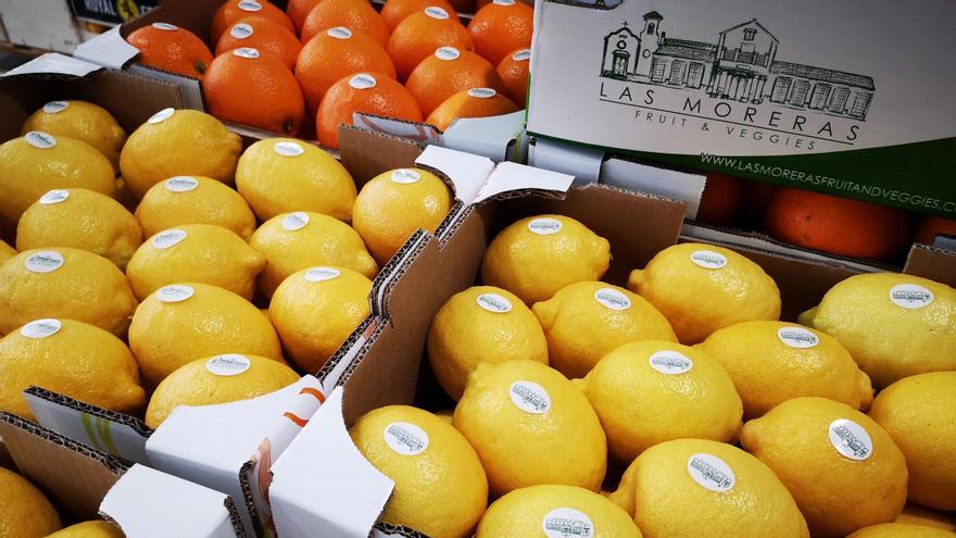 Las Moreras Fruit and Veggies obtiene las certificaciones internacionales de seguridad y calidad alimentaria IFS y BRCGS