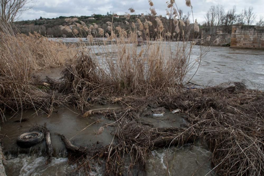 Crecida del Duero en los Pelambres