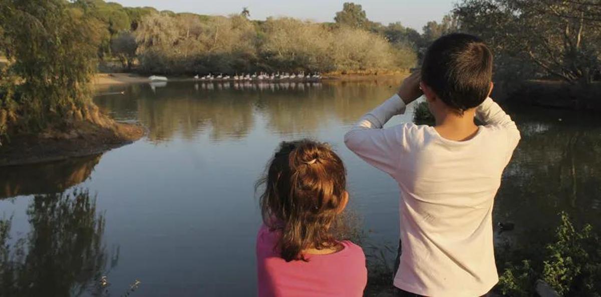 Niños y niñas visitan la Cañada de los Pájaros.