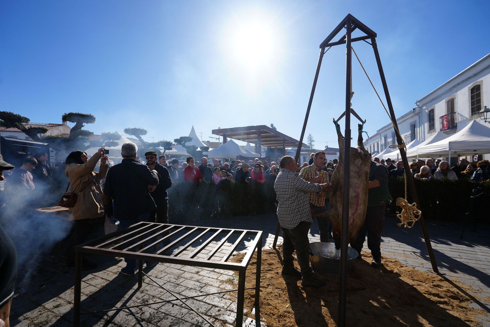 Alcaracejos celebra la matanza tradicional del cerdo