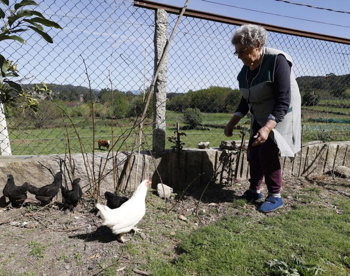Una mujer atendiendo su gallinero en Marcón (Pontevedra). | // G. SANTOS