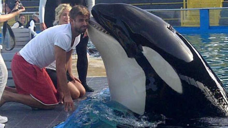 Piqué y Shakira de visita en el zoo