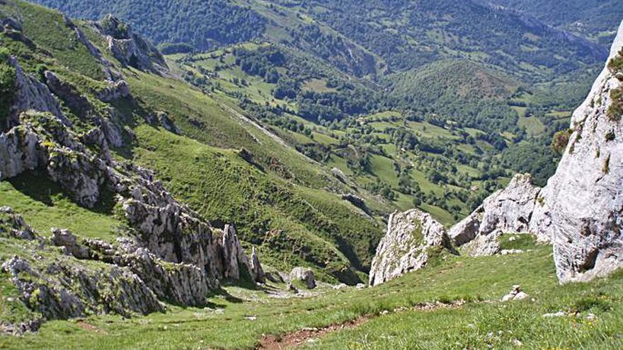 Prados, bosques  y abajo, el Nalón.