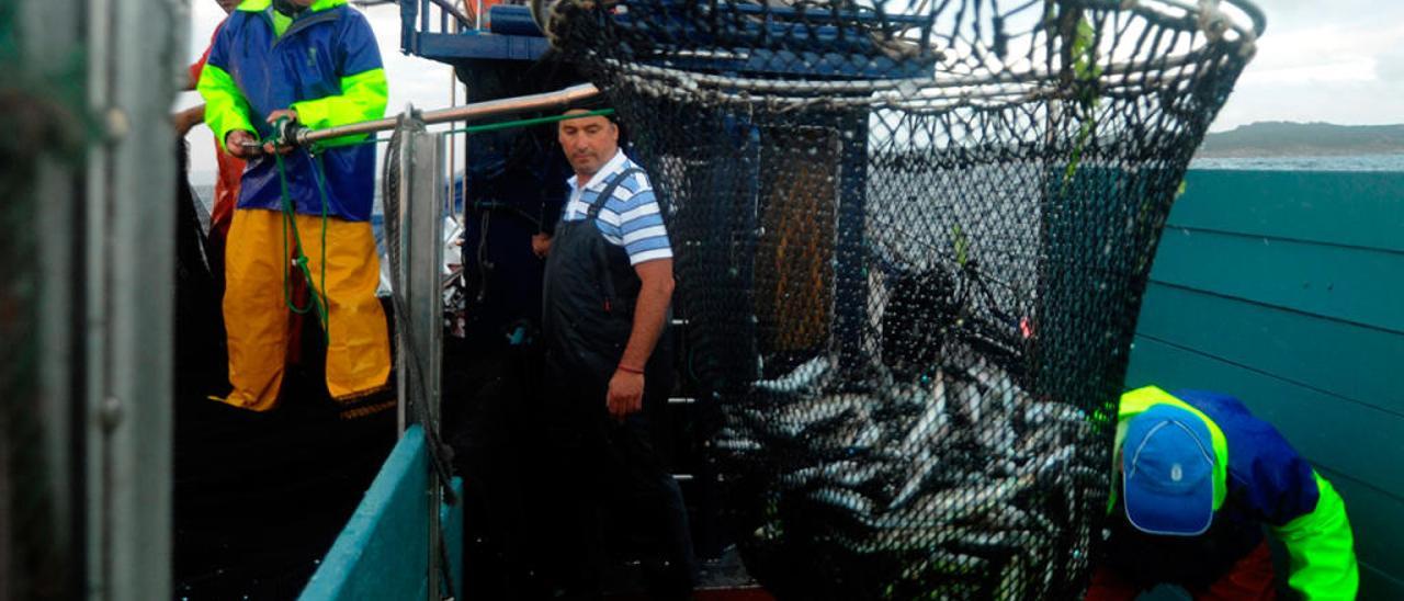 Pescadores de cerco durante una jornada de trabajo en la Ría de Arousa. // Iñaki Abella