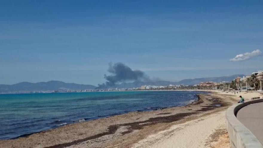 Rauchwolke von einem Großbrand in einem Gewerbegebiet, von der Playa de Palma aus gesehen (24.4.).