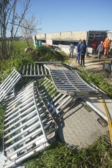 Bolca un camió amb porcs a la Tallada d'Empordà