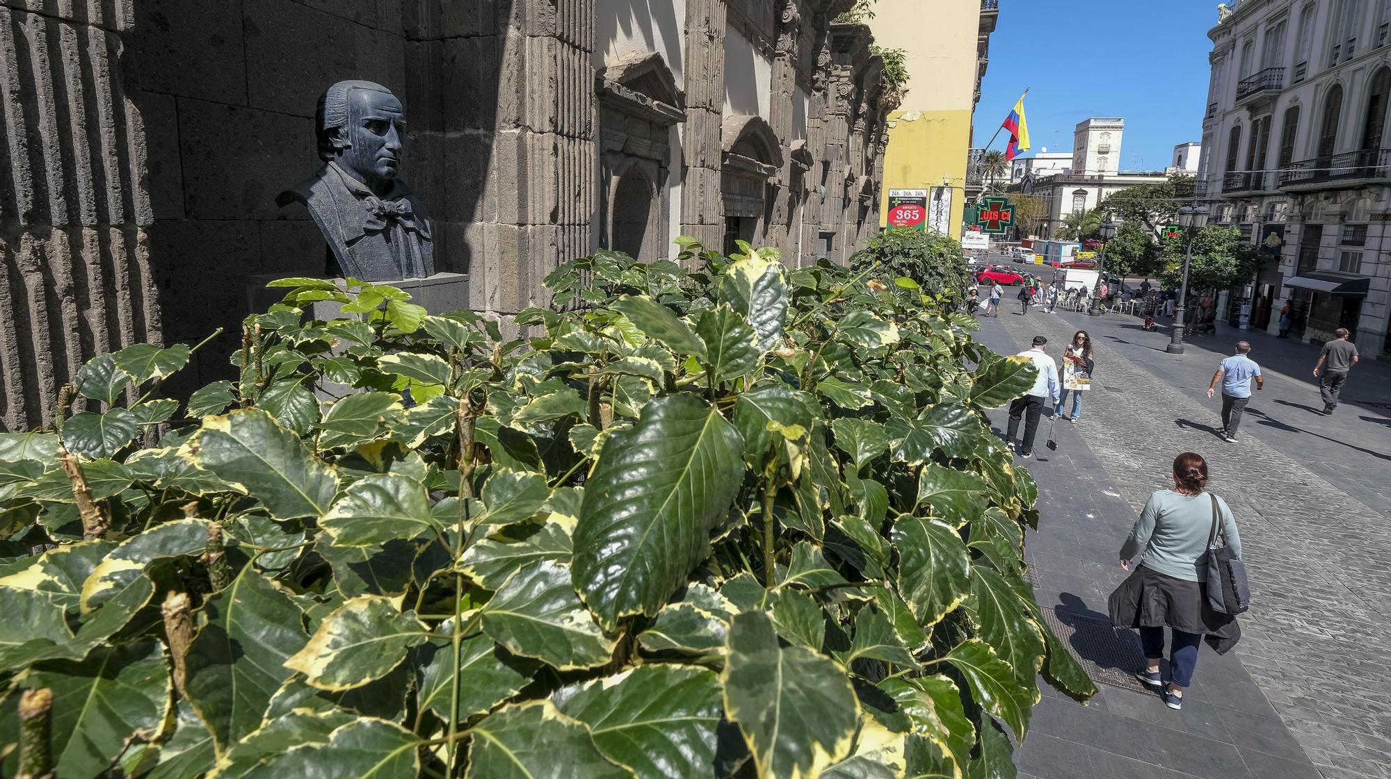 Esculturas ocultas por las plantas altas en Las Palmas de Gran Canaria.