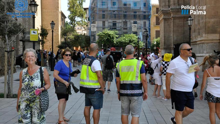 Detenidos 15 delincuentes por hurtos en el centro de Palma