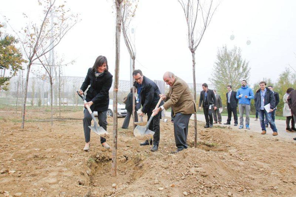 La campaña del Golf deja 10 millones en Zaragoza