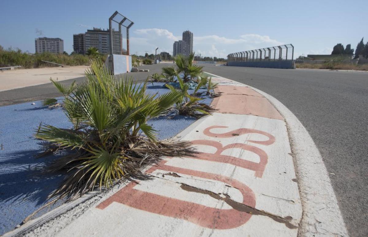 València tendrá un gran delta verte València tendrá un gran delta verte