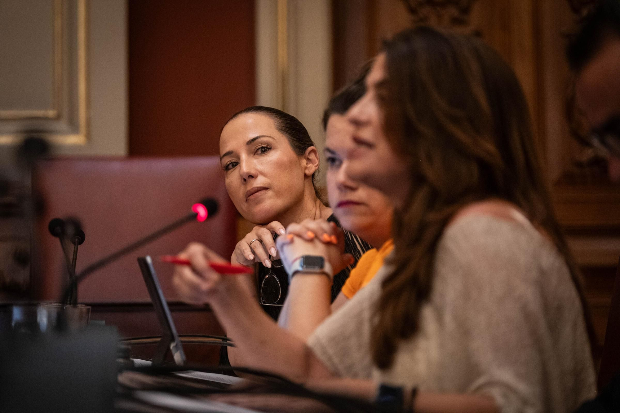 Comisión de control del Ayuntamiento de Santa Cruz de Tenerife