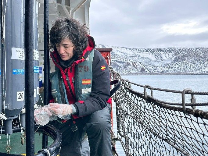 Una investigadora del IIM-CSIC participa en una campaña antártica del proyecto Dichoso