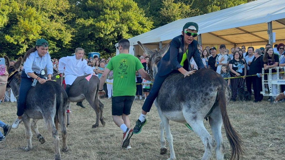 Los burros más rápidos, de romería en Pañeda (Siero): desde el "Burritesla", hasta la "Orquesta El Rebuznu"