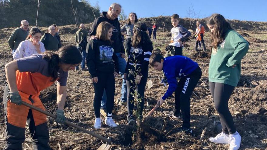 Escolares de Camos y Chandebrito inician el área cortafuegos del parque forestal