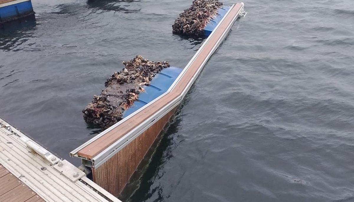 Daños en el pantalán de A Illa.