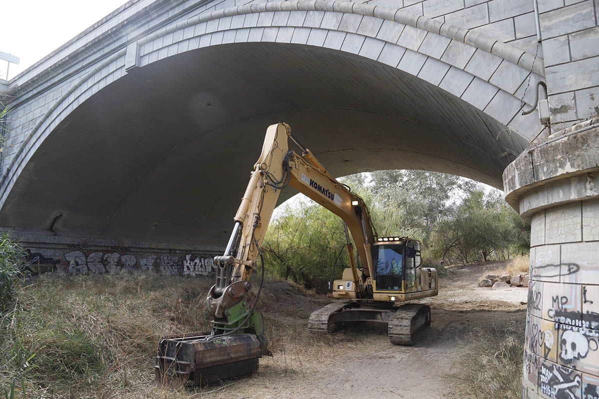 Comienzan los trabajos de limpieza de los Sotos de la Albolafia