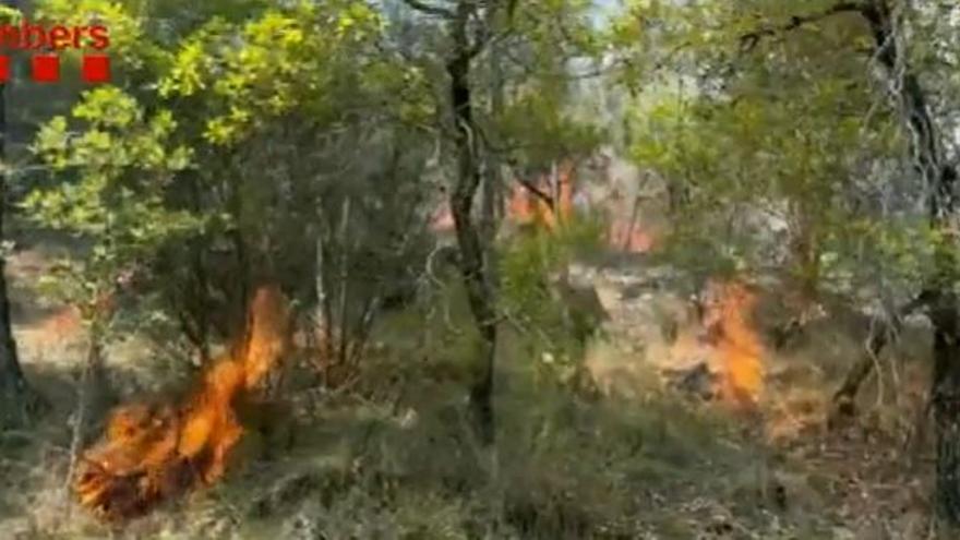 Extingit l&#039;incendi que ha cremat 2.000 m2 de vegetació per un llamp a Lladurs