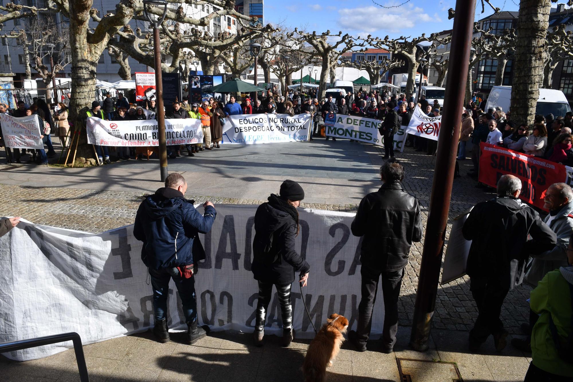 Marcha el Carral contra la "invasión eólica"