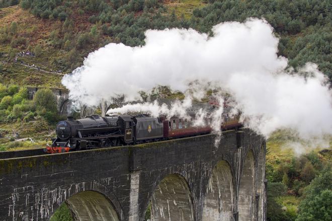 El tren parado en el viaducto