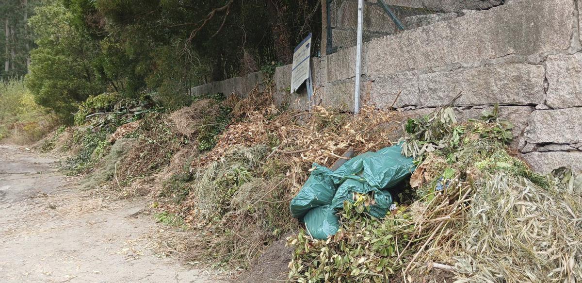 Restos vegetales arrojados de forma irregular en el entorno de las instalaciones de la Mancomunidade. | SANTOS ÁLVAREZ