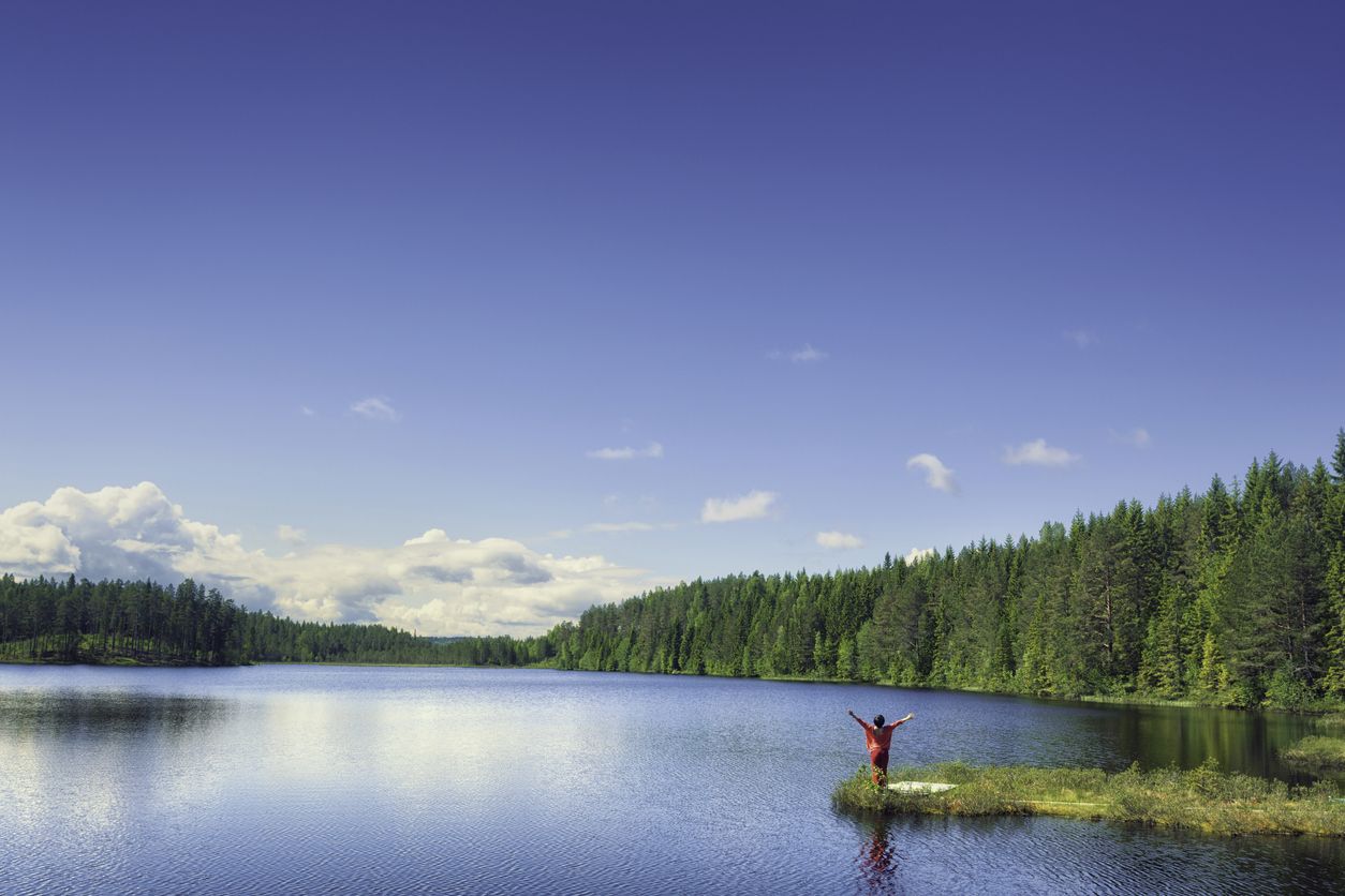 Suecia es uno de los países europeos con más kilómetros de bosque.