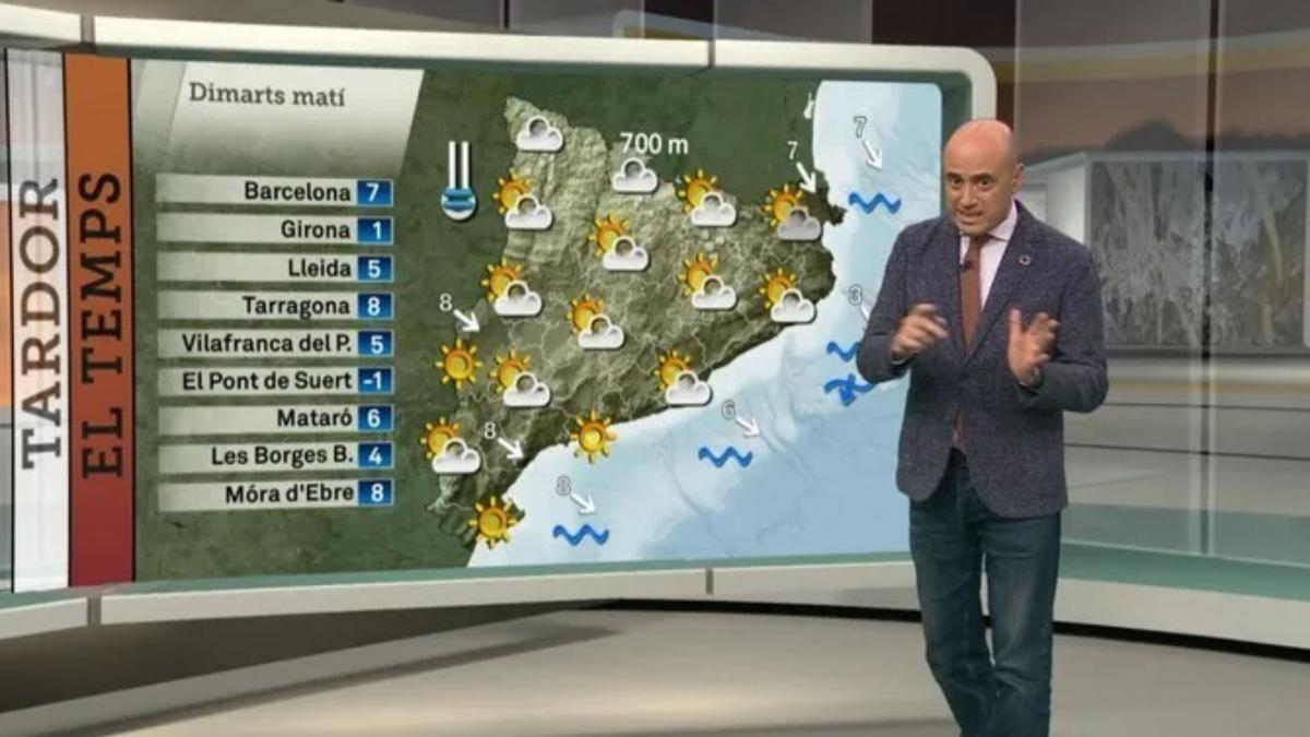 Tomàs Molina en 'El temps' de TV3