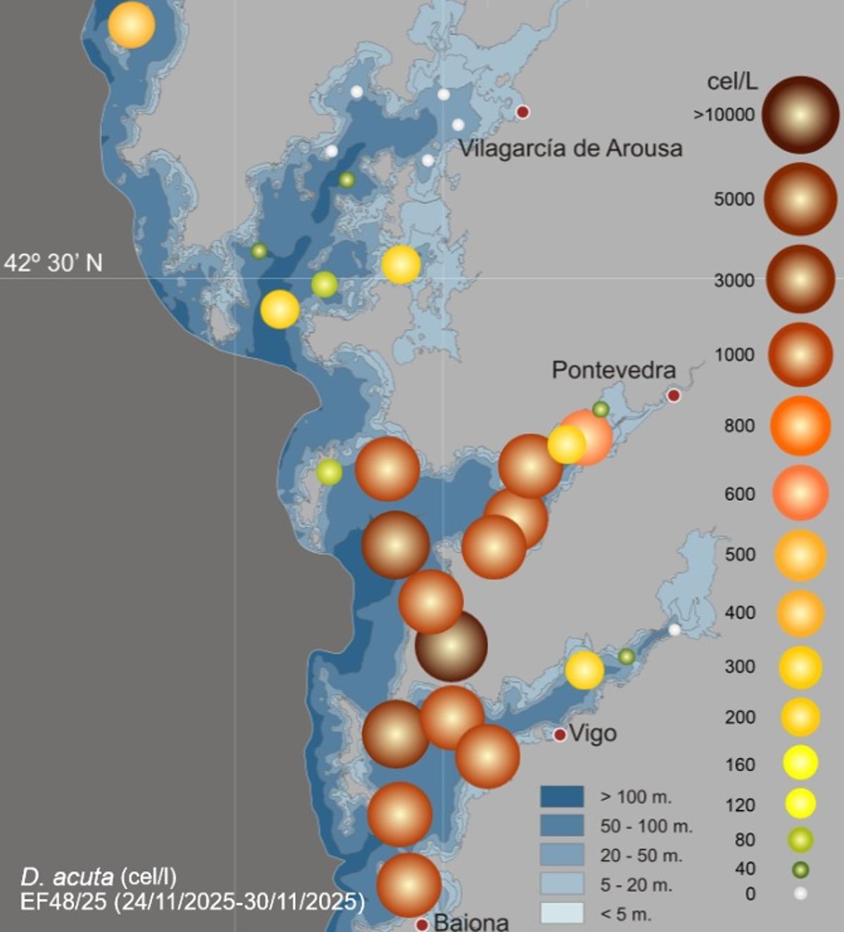 Mapa en el que se aprecia que los dinoflagelados que más castigaban a las rías gallegas tienden a remitir en el interior de la de Vigo y en Arousa.