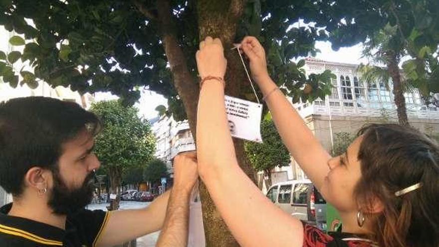 Galiza Nova cuelga carteles en árboles por el &#039;Día da Patria&#039;